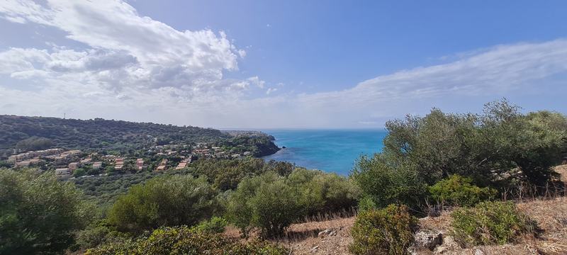 La macchia mediterranea sul mare