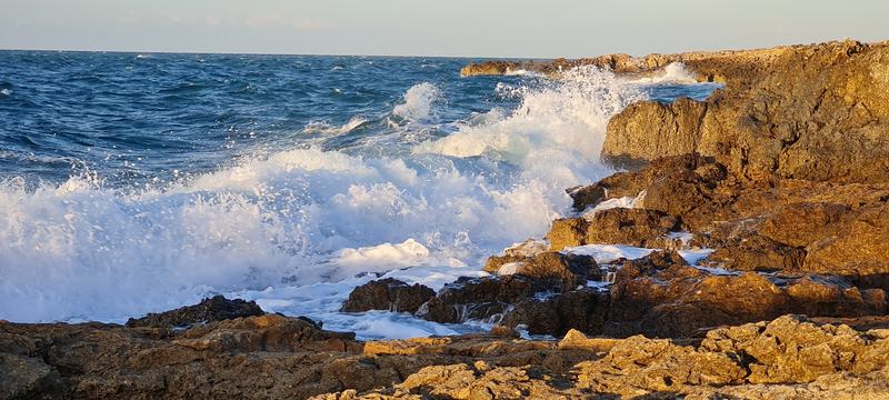 Onde sugli scogli della costa