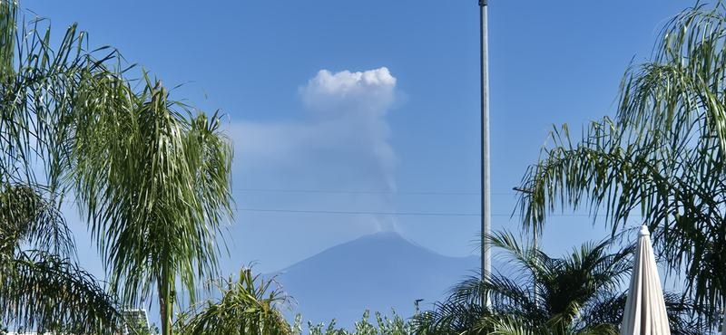 L'Etna tra le palme del giardino