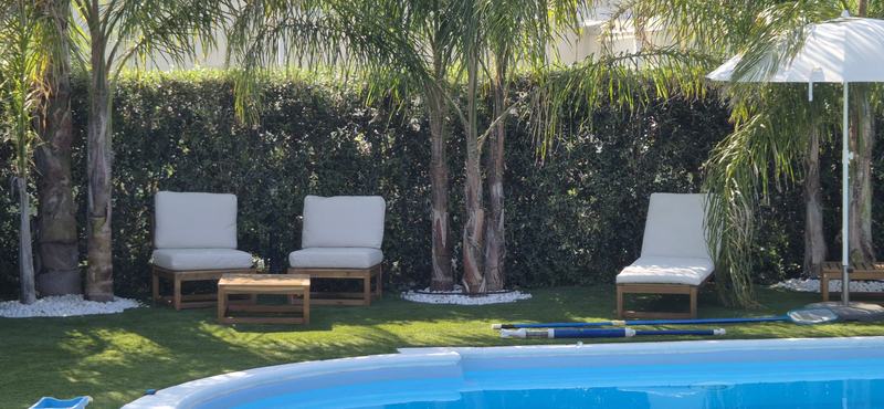 Lettini all'ombra delle palme accanto alla piscina