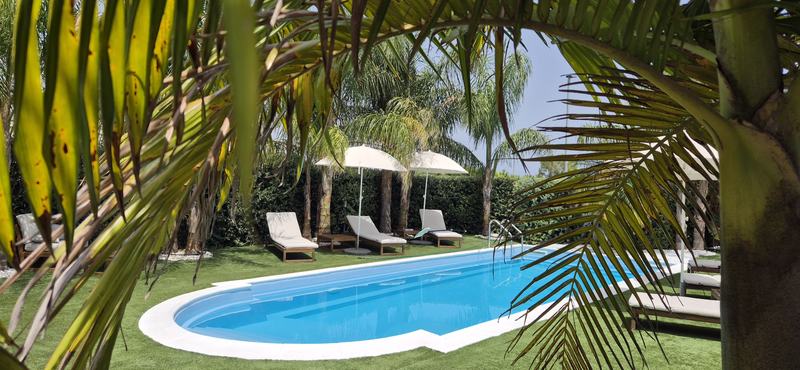La piscina vista tra le foglie di palma
